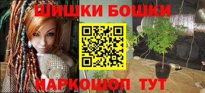 крисы Обь