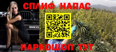 стаф Обнинск