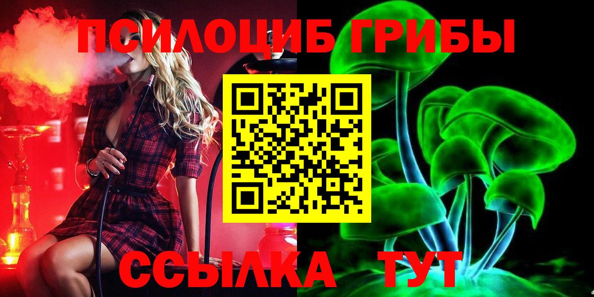 Псилоцибиновые грибы Psilocybine cubensis  Псилоцибиновые грибы Cubensis  Тольятти  Вход с VPN 