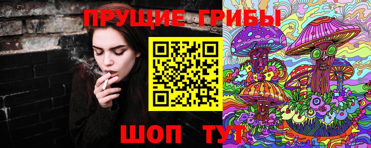 Псилоцибиновые грибы прущие грибы Тольятти